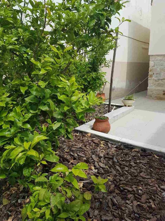 Mangoseaview Home1 Nea Roda Exterior photo